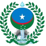 Waajid Local Government
